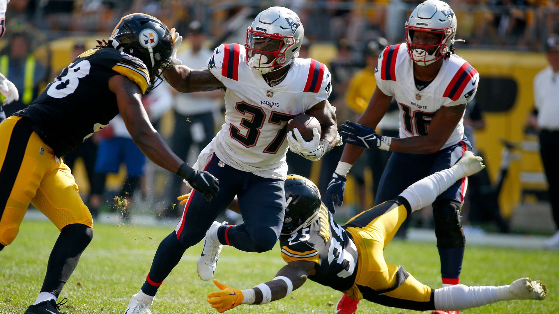 不仅展现了 不仅展现了